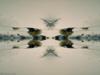 Flight Through Sand