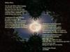 Mother Moon - a poem