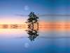 Serenity