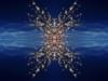 Sky Blossoms - "As above, so below..."