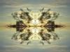 Sky Oasis - serenity in reflective meditation