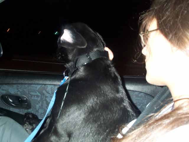 Bonnie and Rara on the way back home