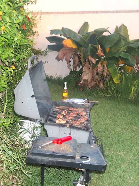Mmmmmmm, click for pictures from the bbq
