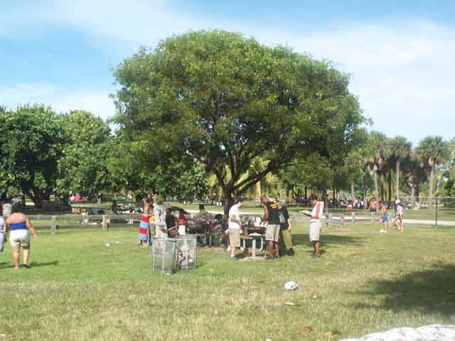 A serene glimpse of us at play