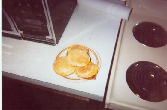 Egg-A-Mooby Muffin