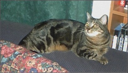 Spot December 2000