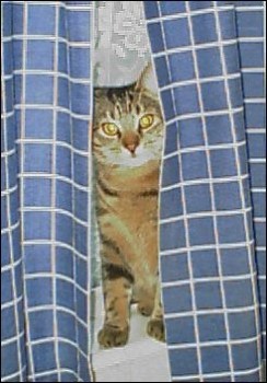 Spot December 2000