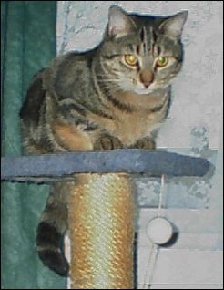 Spot February 2001