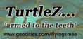 TurtleZ management