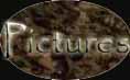 see some skinboat pictures
