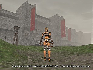 Sandy's Greeting, fog.  How appropriate.