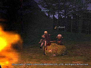 Campfire chats