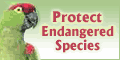 Ecologyfund.com: Save land, clean the air, protect endangered species.
