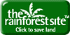The Rainforest Site: Help Save Our Rainforests!