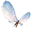 links
