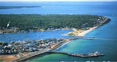 Oak Bluff's Harbor
