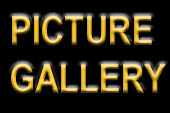 to the picture gallery overview
