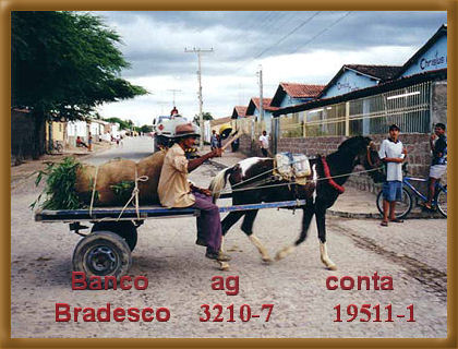 Arcoverde