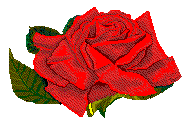 My mom favorite flower