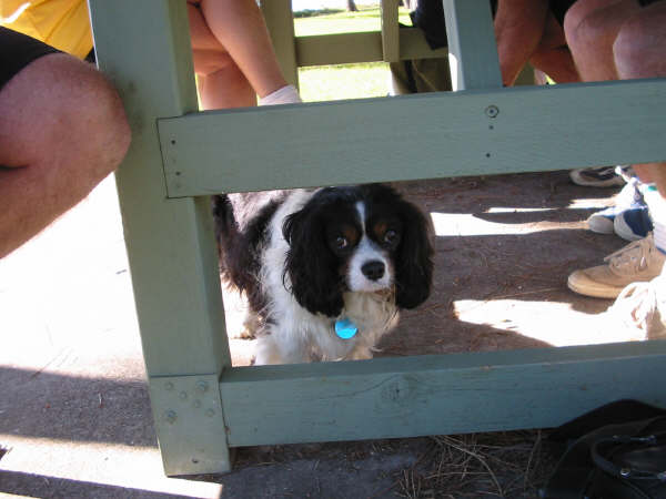 Where's My Lunch!