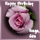 Gin