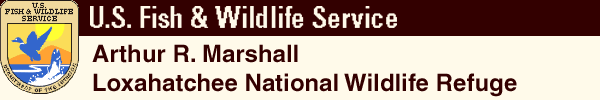 A.R.M. Loxahatchee NWR