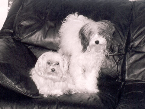 Double Trouble!