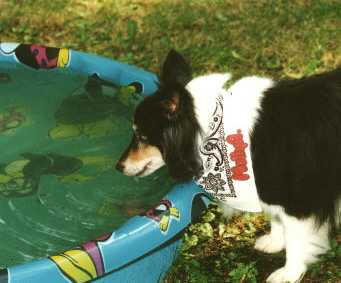 Yummy....Pool Water!