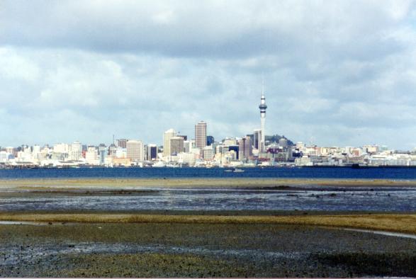 Early morning Auckland