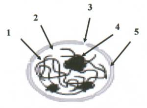 Click on me to return to physical science home page!