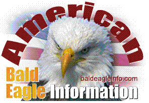 http://www.baldeagleinfo.com/