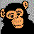 Chimpanzee
