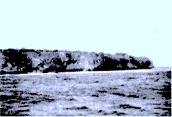 North Beach of Henderson Island