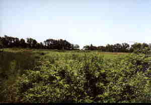 Fiske Hill I