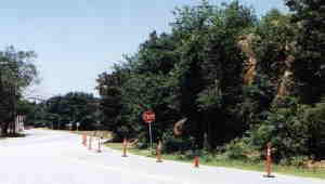 The Bluff  III