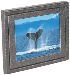 6" LCD with built-in CCFL / 4:3 screen / NTSC video system = $129.00