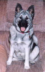 kayla picture