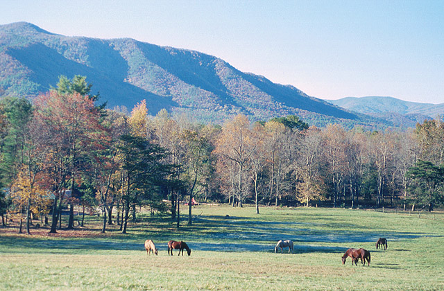 Cades Cove