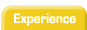 My Professional Experience