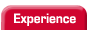 My Professional Experience