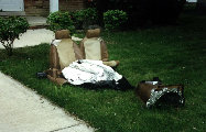 my79spitfire050.jpg