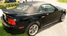 STOCK