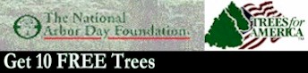 I love trees! We need more trees
 everywhere - for fresh air!!