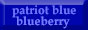 Patriot Blue Blueberry