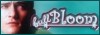 Adam's Web Bitz