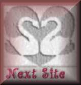 Next Site