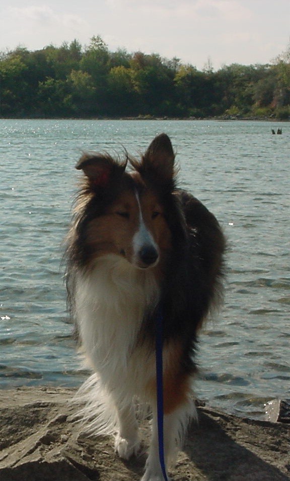 Kiera -- My baby :-)
