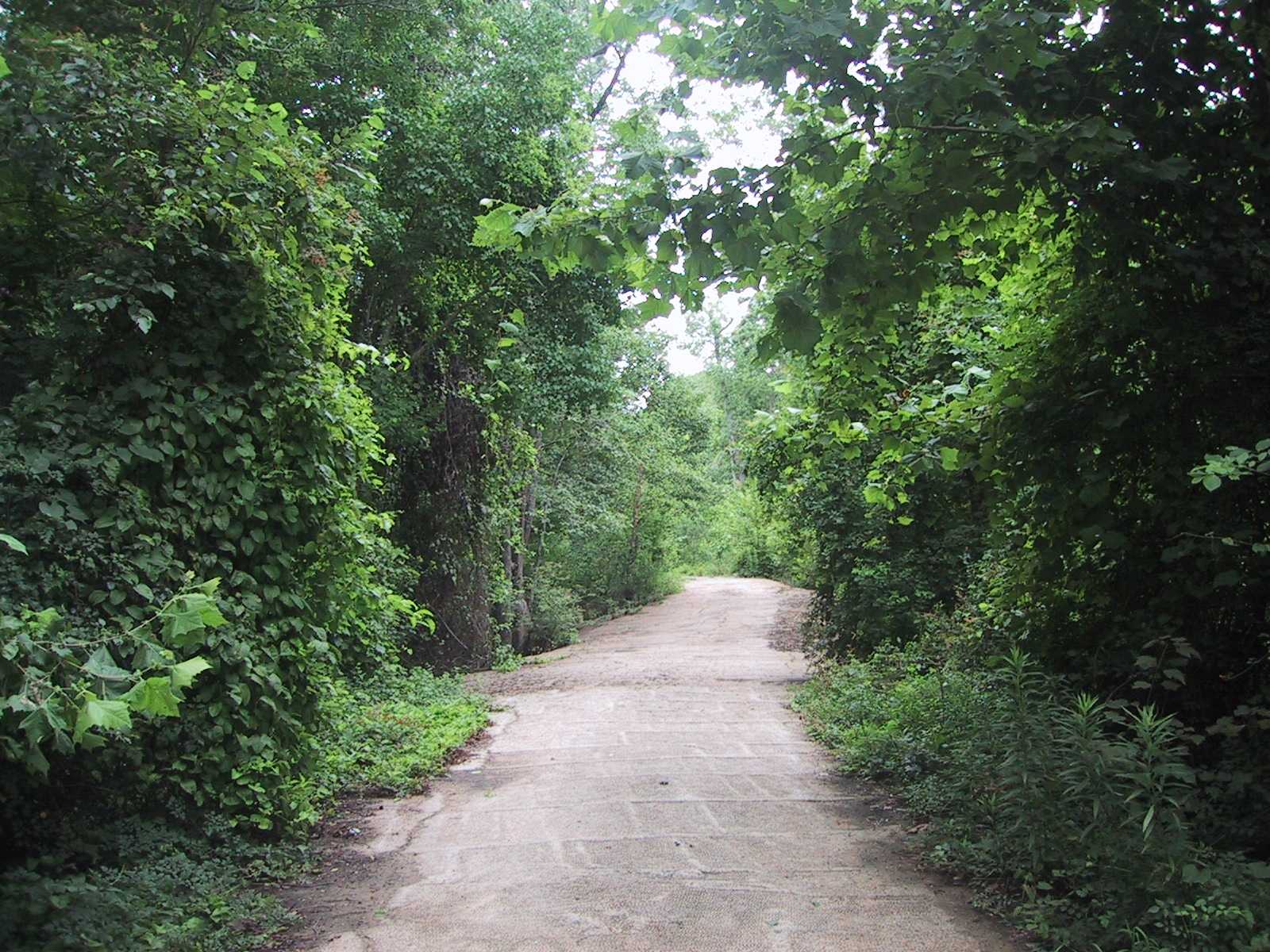 This is the road to the river. Its been flooded so many times I hesitate to drive on it too much.