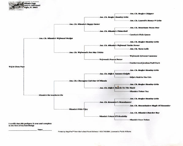 GinnyPedigree