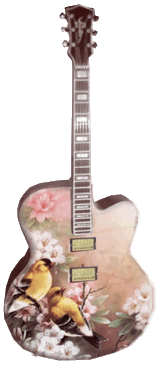 Gitarr from Heleca
